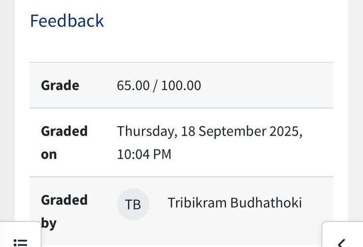 Professor's mark: 65%